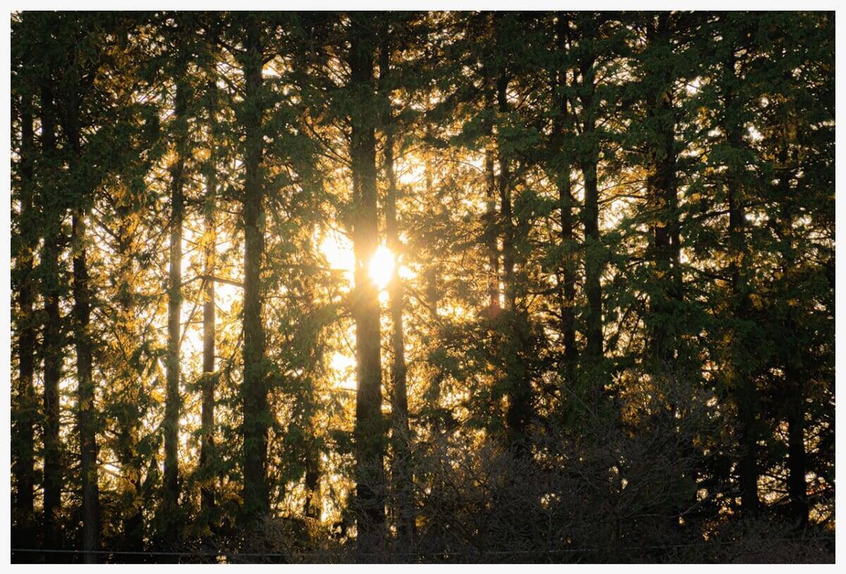 【八芳園が贈る“特別な一日”】栃木・那須塩原が誇るブランド食品に触れる夢のような旅