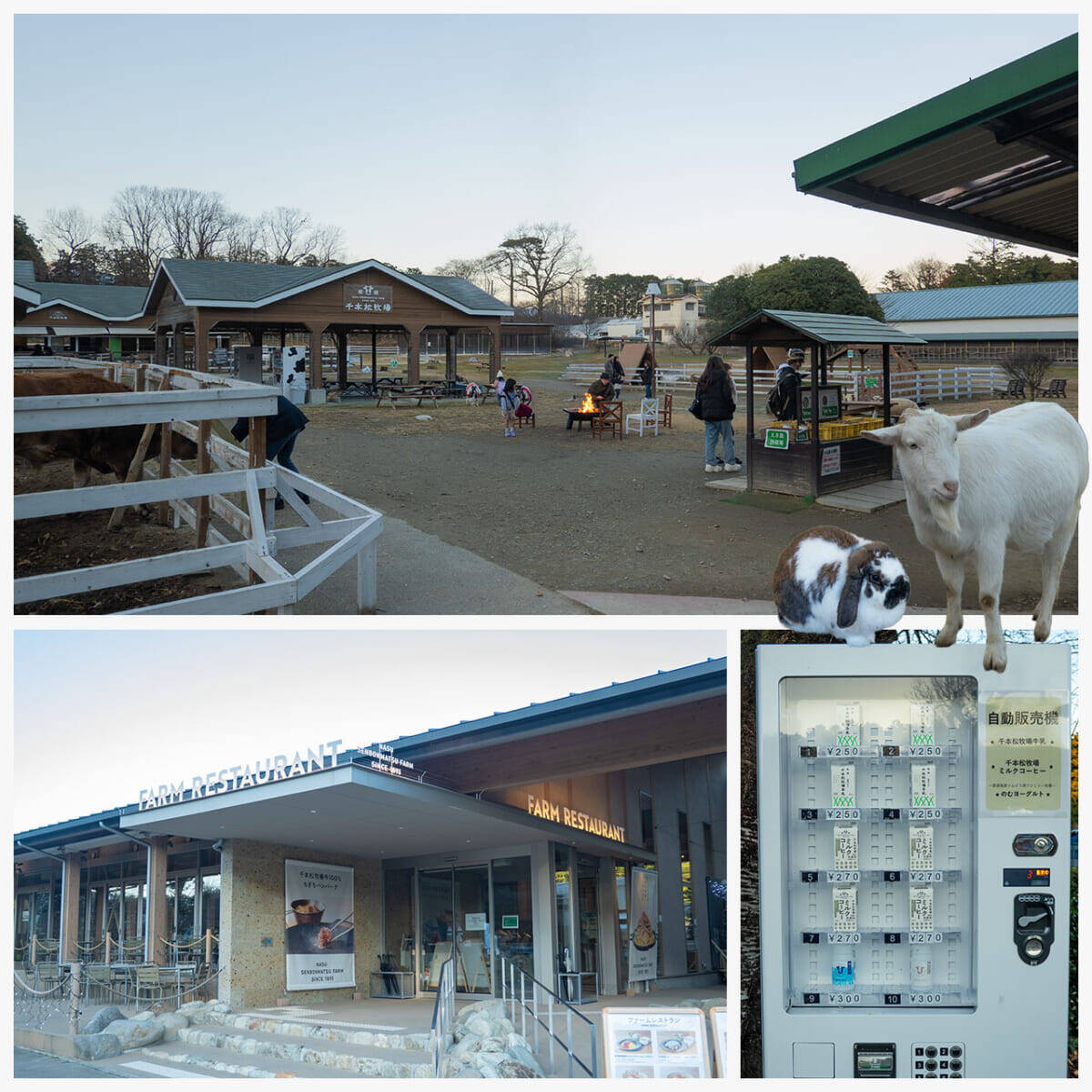 【八芳園が贈る“特別な一日”】栃木・那須塩原が誇るブランド食品に触れる夢のような旅