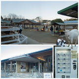 「【八芳園が贈る“特別な一日”】栃木・那須塩原が誇るブランド食品に触れる夢のような旅」の画像5