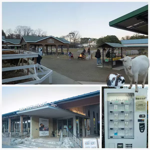 「【八芳園が贈る“特別な一日”】栃木・那須塩原が誇るブランド食品に触れる夢のような旅」の画像