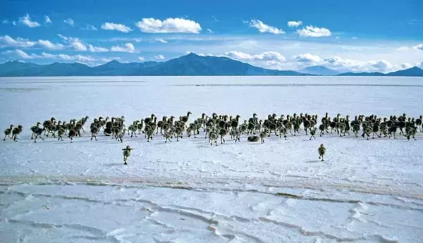 「世界各地の塩湖や天日塩田などを追いかけた！片平孝写真展「塩の旅～地球の塩の現場に立つ～」 開催｜東京・墨田区」の画像
