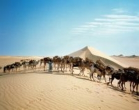 世界各地の塩湖や天日塩田などを追いかけた！片平孝写真展「塩の旅～地球の塩の現場に立つ～」 開催｜東京・墨田区