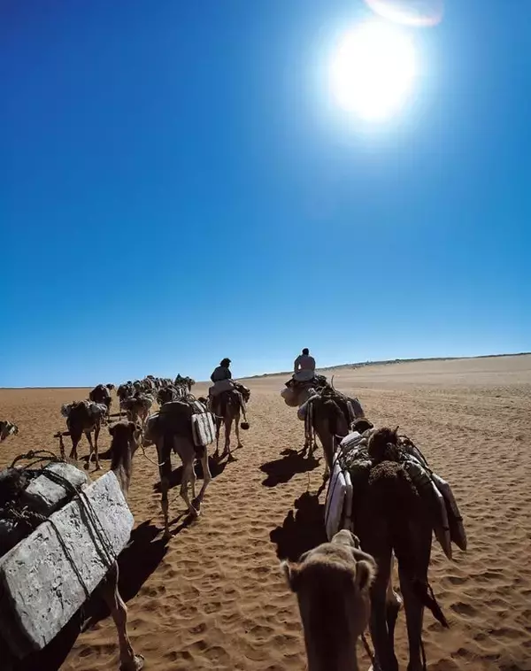 「世界各地の塩湖や天日塩田などを追いかけた！片平孝写真展「塩の旅～地球の塩の現場に立つ～」 開催｜東京・墨田区」の画像