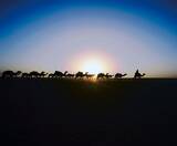 「世界各地の塩湖や天日塩田などを追いかけた！片平孝写真展「塩の旅～地球の塩の現場に立つ～」 開催｜東京・墨田区」の画像8