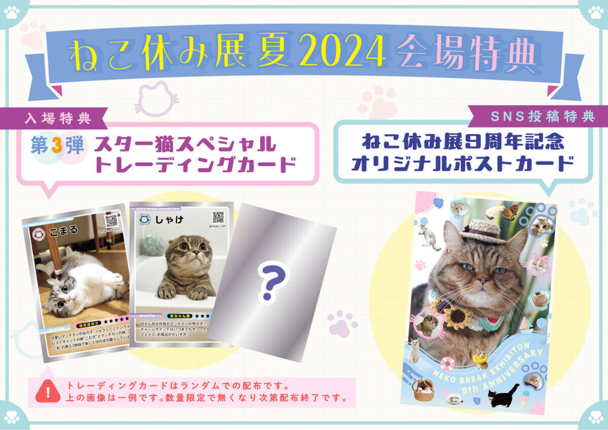 【癒やしに満ちた"猫の祭典"】「ねこ休み展」夏の本祭2024が開催！人気クリエイターによる写真とグッズが集合