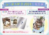 「【癒やしに満ちた"猫の祭典"】「ねこ休み展」夏の本祭2024が開催！人気クリエイターによる写真とグッズが集合」の画像7
