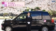 【東京観光お花見タクシー】効率よく快適に桜を楽しむ！東京観光の資格をもつプロドライバーが案内