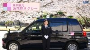 【東京観光お花見タクシー】効率よく快適に桜を楽しむ！東京観光の資格をもつプロドライバーが案内