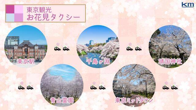 【東京観光お花見タクシー】効率よく快適に桜を楽しむ！東京観光の資格をもつプロドライバーが案内