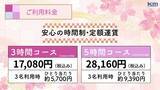 「【東京観光お花見タクシー】効率よく快適に桜を楽しむ！東京観光の資格をもつプロドライバーが案内」の画像4