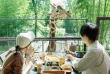「【グランピング施設・THE BAMBOO FOREST】キリンと朝食プラン再開！夏限定・流しそうめん付きプランも｜千葉県」の画像1