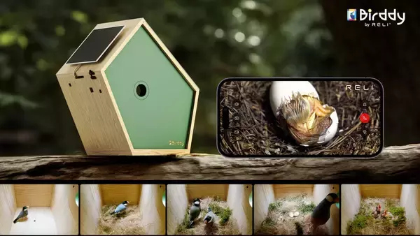 野鳥の生活をライブ視聴できるスマートバードハウス「Birddy」