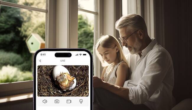 野鳥の生活をライブ視聴できるスマートバードハウス「Birddy」