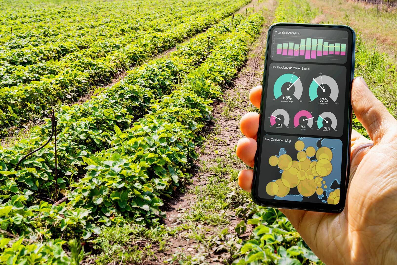 AIで農作物の需要予測、フィリピン農業サプライチェーンスタートアップKitaの大躍進