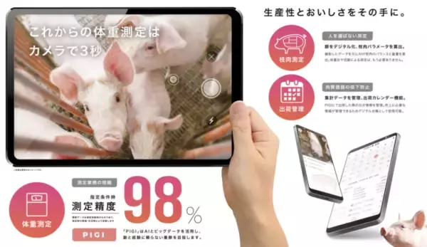 スマホで豚の体重が測れる「PIGI」無料版リリースへ！ AI活用で勘と経験に頼らない養豚を