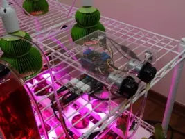 ペットボトルで野菜を育てる 簡単な水耕栽培キット 育てるグリーンペット で楽しく野菜やハーブを育てよう 14年4月27日 エキサイトニュース 3 3