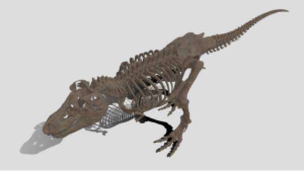 4つの博物館から恐竜やワニなどの化石が大集合 Vr特設サイトで無料公開中 21年1月日 エキサイトニュース