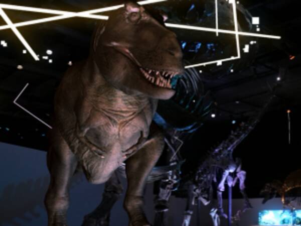 日本初上陸の レイン スタン を大迫力のcgで再現 Dinoscience 恐竜科学博 21年8月5日 エキサイトニュース