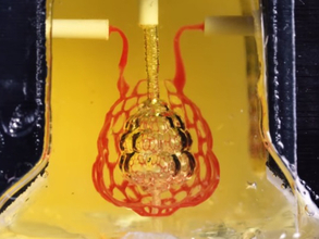 3Dプリントが医療の未来を変える!?ライス大学の研究チームがバイオプリンティングによる肺の開発に成功
