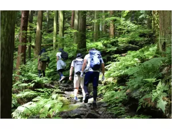 【日本初】ストレス軽減・癒しを目的とした「森林浴」「森林セラピー®️」体験プログラムを提供、自然ガイドのマッチングサービス「earth trekking」が新鮮！