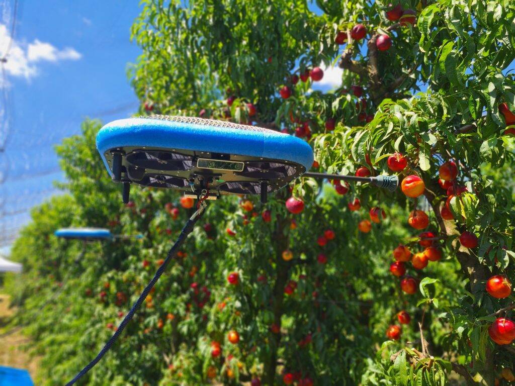 “空飛ぶ果実収穫ロボット”開発。Tevel、農業人材の不足解消を目指す