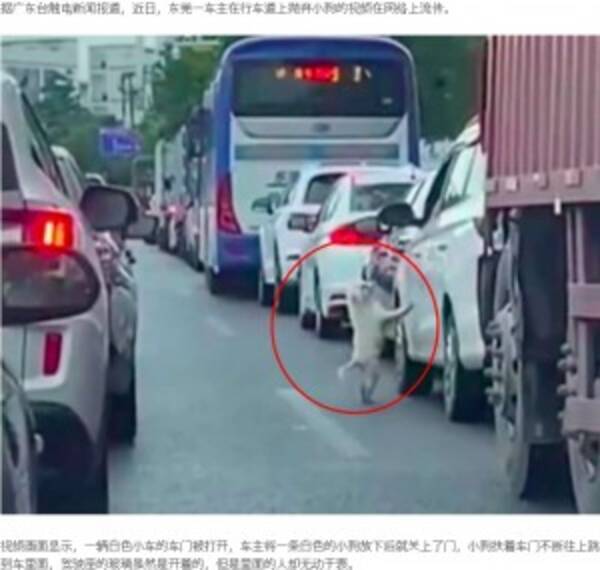 渋滞する道路で犬を捨てた 無情 な飼い主と 車にすがりジャンプする犬 中国 動画あり 22年7月18日 エキサイトニュース
