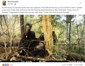 カメラの前で豪快にブーッ　「クマもオナラをするんだ！」と笑いの声（米）＜動画あり＞