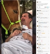 事故で体が麻痺した男性、心を癒す馬に会い感極まる（ブラジル）＜動画あり＞