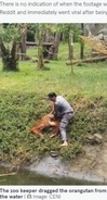 水堀で溺れたオランウータン、飼育員が引き上げ心肺蘇生で命を救う（ベトナム）＜動画あり＞