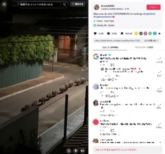 深夜3時のカピバラパレード　ブラジルの住宅街で捉えた映像が再生回数1850万回超＜動画あり＞