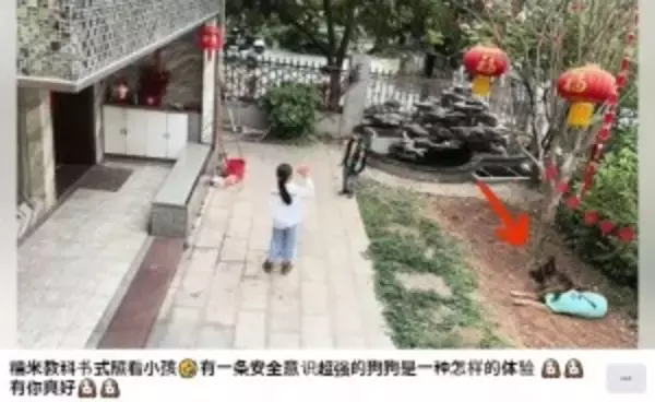 “究極に賢い犬”　池に落ちそうな子供を助け、水中のボールを網ですくう（中国）＜動画あり＞