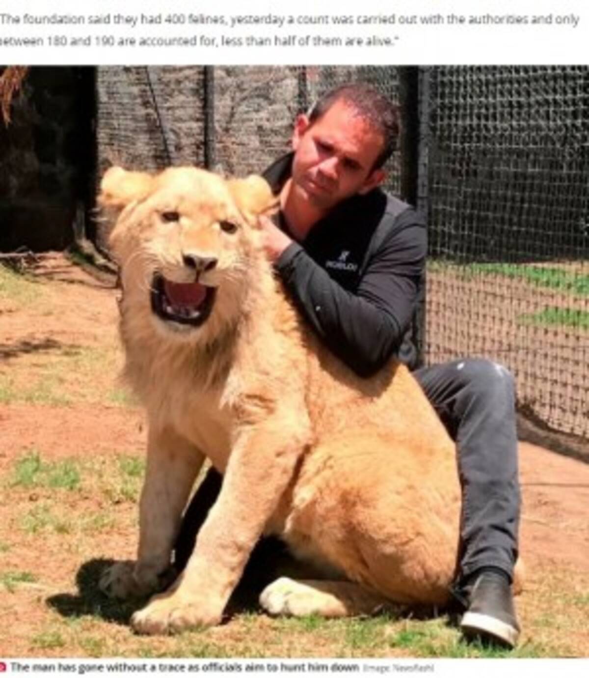 尻尾をかじり共食いする餓死寸前のライオン 劣悪な環境の動物保護施設が閉鎖へ メキシコ 動画あり 22年7月12日 エキサイトニュース