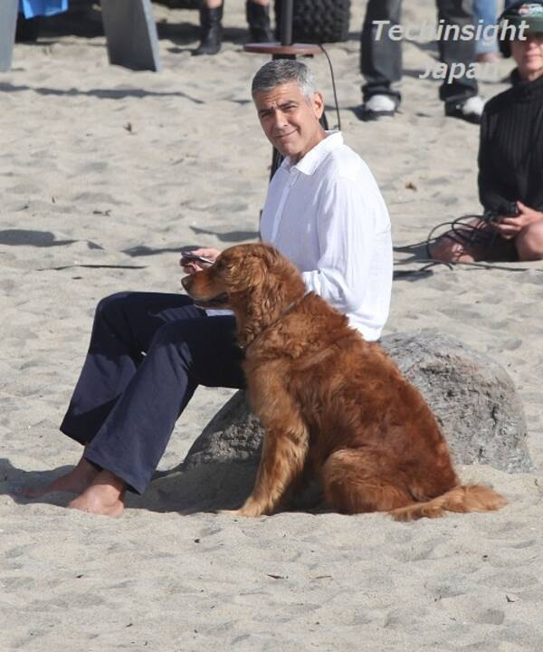 イタすぎるセレブ達 俳優ジョージ クルーニー 大型犬と一緒のcm撮影で超ゴキゲン 12年5月18日 エキサイトニュース
