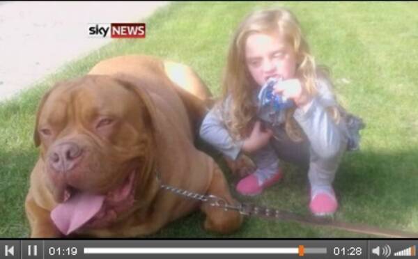 飼い始めて間もない大型犬が4歳女児を噛み殺す 英 13年11月6日 エキサイトニュース