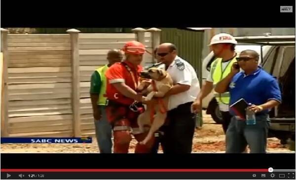 160m下の鉱山跡 ビッグホール に落ちた犬 無事救助される 南ア 13年11月28日 エキサイトニュース