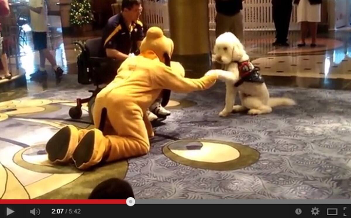 ディズニーの着ぐるみ プルート と本物の犬に友情が芽生える ほのぼの動画が大人気 13年12月23日 エキサイトニュース