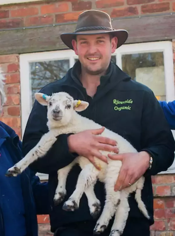 6本脚の羊の繁殖を真剣に検討中!?　英の家畜生産組合。