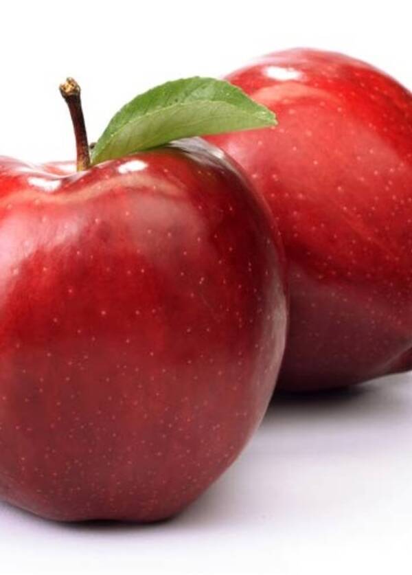 リンゴの成分に女性ホルモンと似た働き 禁断の果実は 媚薬 だった 伊 14年7月12日 エキサイトニュース