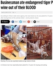 絶滅危惧種のトラを殺して生殖器を食べ、血からワインを作った男が逮捕。（中国）