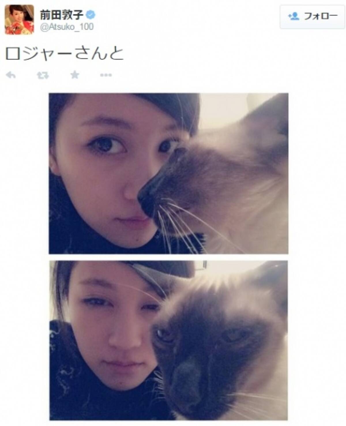 前田敦子と河西智美が 猫と虎 で動物対決 カッコイイ 怖い と反響 15年1月5日 エキサイトニュース