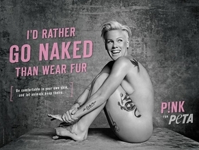 P!NKが動物愛護団体「PETA」に協力。ヌードを披露！