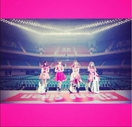 ワンピース 作者が新日本プロレスのユニットに入団 鈴木みのるがツイッターで明かす 15年3月16日 エキサイトニュース