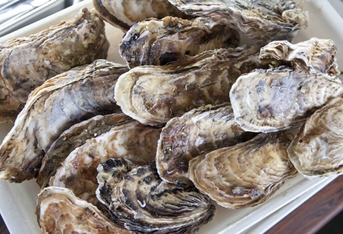 牡蠣料理から真珠がザクザクと50粒 女性客は大興奮 米 15年4月8日 エキサイトニュース