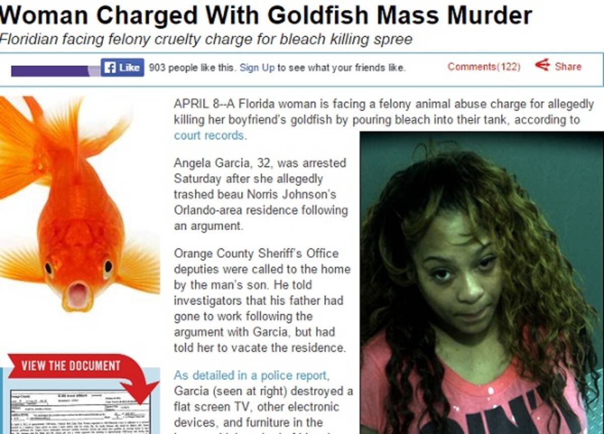 水槽に漂白剤を 32歳女 ボーイフレンドの飼っていた金魚を殺して逮捕 米 15年4月10日 エキサイトニュース