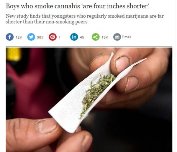進む合法化で思春期の少年にも蔓延する大麻 身長の伸びが止まることが判明 15年5月22日 エキサイトニュース