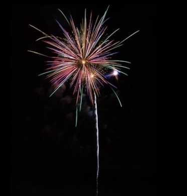 アメリカ 雷の直撃を受け牛23頭が即死 エキサイトニュース