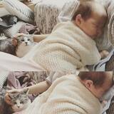 「坂本美雨、生後1か月の娘を愛猫が受け入れてくれた瞬間。その思いにファンも感動。」の画像1