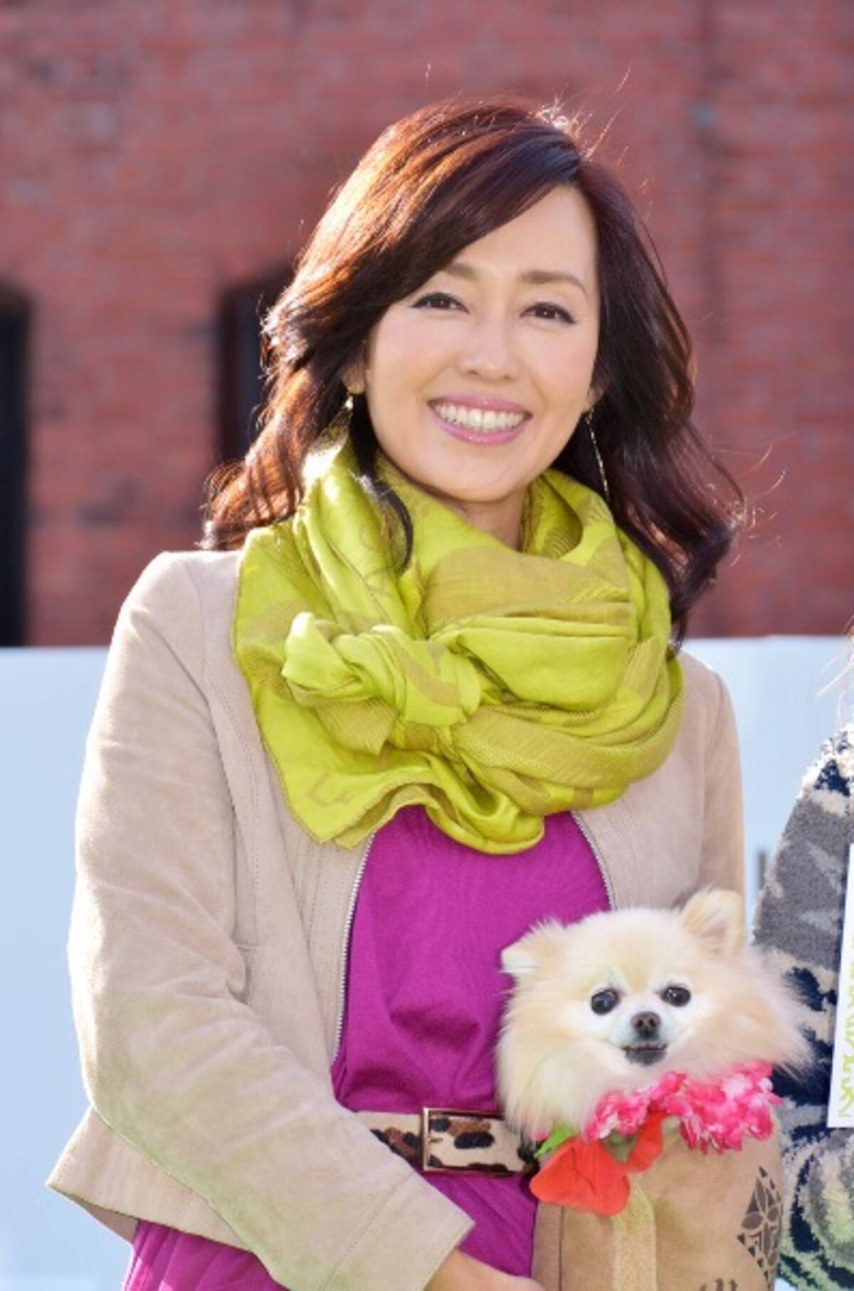 早見優 愛犬家として One Loveアワード オブ ザ イヤー 受賞 特別賞に川島なお美さん 15年11月1日 エキサイトニュース