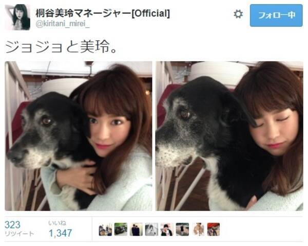 桐谷美玲が犬の ジョジョ を抱きしめる姿に かわりたい 15年11月12日 エキサイトニュース