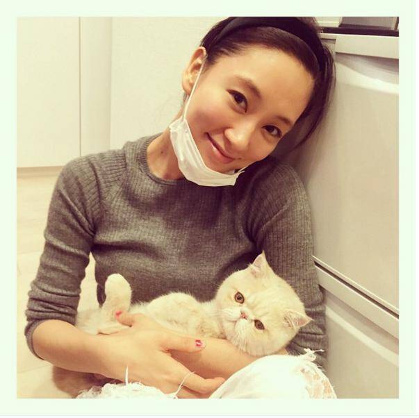 水川あさみや石田ゆり子も ねこ が好き インスタグラム国内ハッシュタグ1位は 猫 15年12月5日 エキサイトニュース